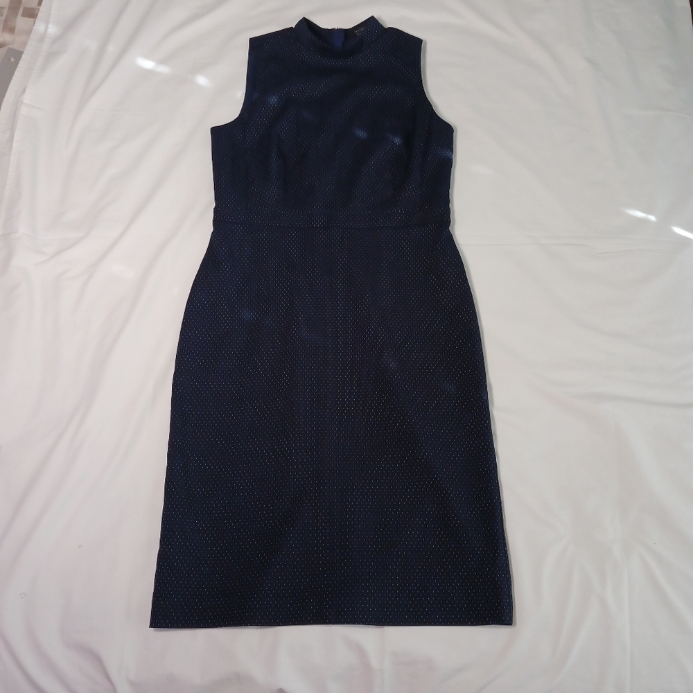 Ann Taylor Navy Polka Dot Sheath Sleeveless Dress